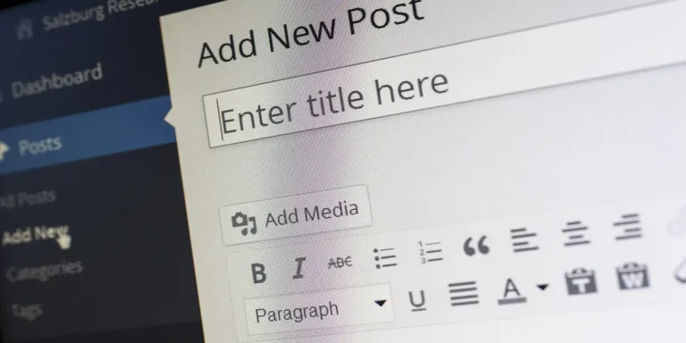 wordpress backend
