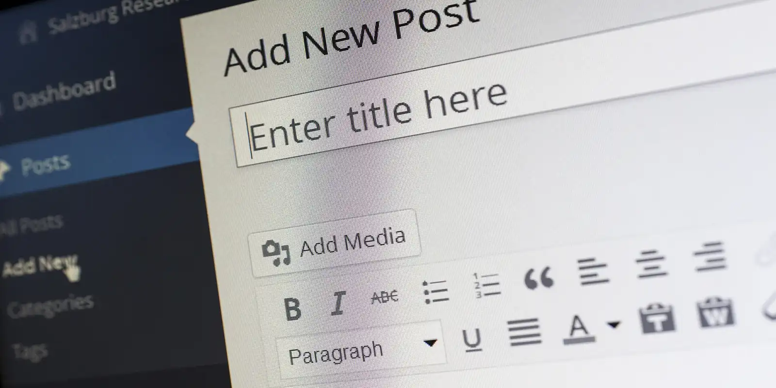 wordpress backend